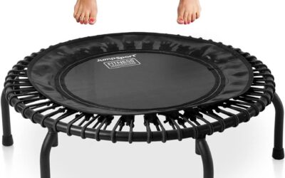 The rebounder (mini trampoline): The best piece of exercise equipment you’ll never regret buying.